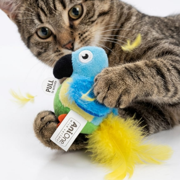 from Spielzeug anione squeaky bird shape toy