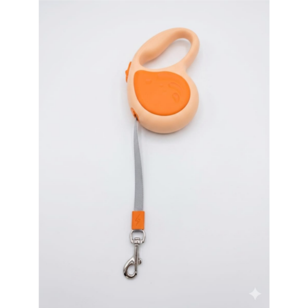 Yoyoso 3 M Leash Orange beige