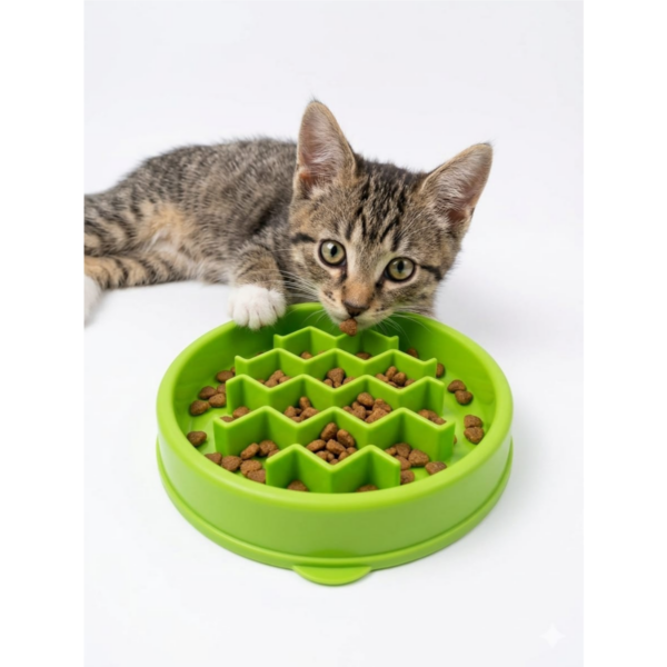 Catstages kitty slow feeder 3/4 cup