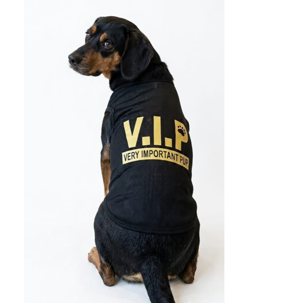 Maqilo pet  Black net shirt size XXL